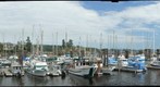 Ganges harbour, Salt Spring Island, BC