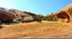 Bull's Party, Amaib, Namibia