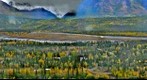 Glacier View Area, Alaska