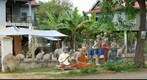 Statues for sale