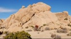 Joshua Tree National Park Boulder Field Panorama