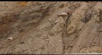 Alaska HW 3 mi. 239.5 (Gigapan site 4) 