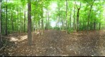 Dairy Bush GigaPan - 160 – September 19 2012 