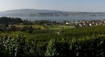 Lattenberg Stäfa Switzerland