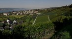 Lattenberg, Stäfa, Switzerland
