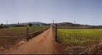 Diseminado Barranquillo Frio, Santa María de Guía. Isla de Gran Canaria 