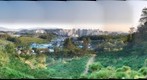 지금동 부영아파트 주변 동산