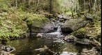 Nikon D800 219 Megapixel Landscape