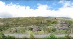 Maui upcountry hillside