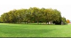 Stanley Park - Lumberman's Arch