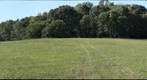 SBC first-year seminar trees in Big Oaks sanctuary