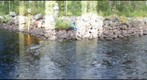 Bjurbacken North 2012