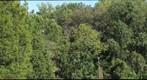 SBC first-year seminar woods from observatory hill