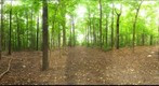 Dairy Bush GigaPan - 161 – September 26 2012