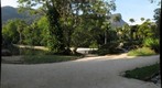 Jardim Botânico do Rio de Janeiro / maracanã-pequena