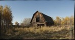 Old Barn