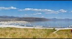 Mono Lake, tuffa, and birds