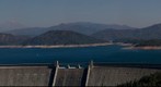 Three Shasta's