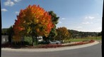 first autumn colors 