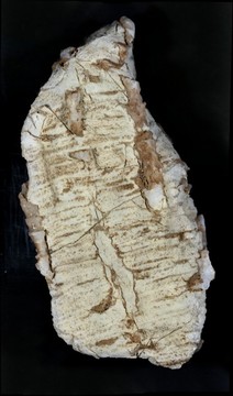 115600-212x360
