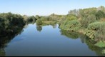 El Ter (the Ter river)