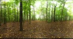 Dairy Bush GigaPan - 162 – October 03 2012 