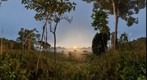 Khao Sok National Park, sunrise, Thailand 2008, S.E. Asia