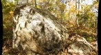 More Gneiss Garnets