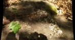 Little Gneiss, Big Garnet