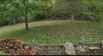 Back Yard in Fall 