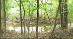 WaterBot on Four Pole Creek #3