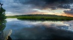 Swamp Sunrise