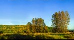 Public Hunting Area