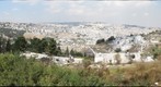 City of David