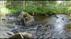 Kvarnbacken 2012