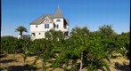 Concannon Vinyards