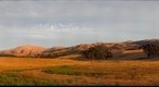 Poppy Ridge Land