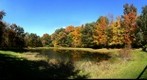 Fall