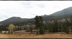 Fall River Valley RMNP 1
