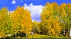 My Backyard test