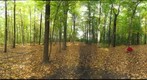 Dairy Bush GigaPan - 163 – October 12 2012