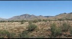 Santa Rita Experimental Range 1
