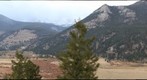 Elk Watching RMNP