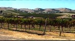 1880s Wine Country