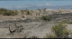 Panoramic of the Tatacoa desert, Colombia