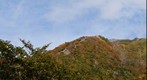 Tanigawa_dake foliage 2/3