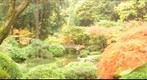 Japanese Gardens