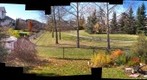 My Backyard in Autumn
