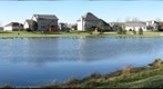 Backyard Pond