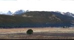 moraine park near end of fern lake fire